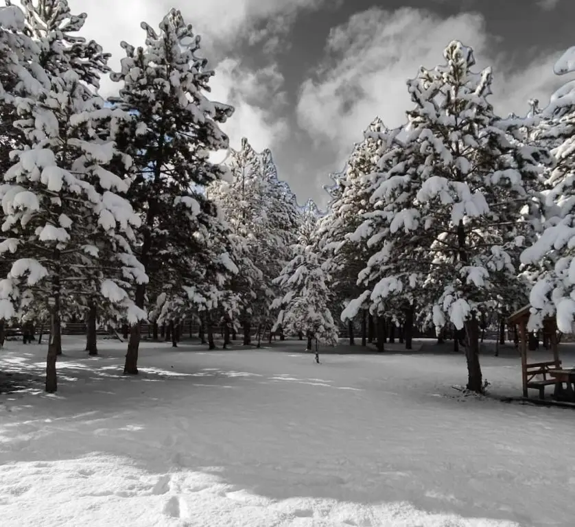 Fikri Atalay Konağı — фото 1