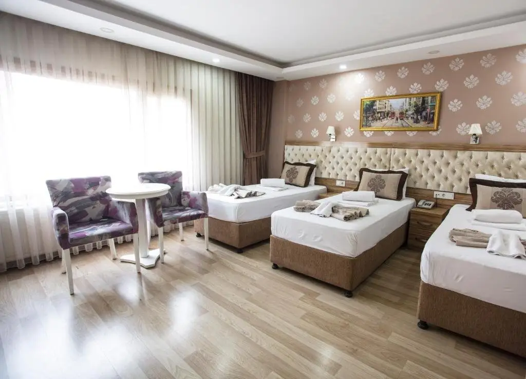 Стамбул: Bagoz Hotel