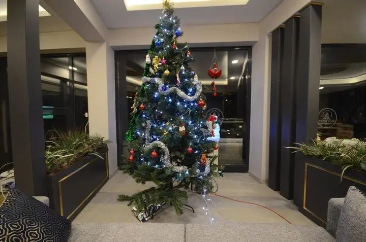Стамбул: Snow Mount Hotel