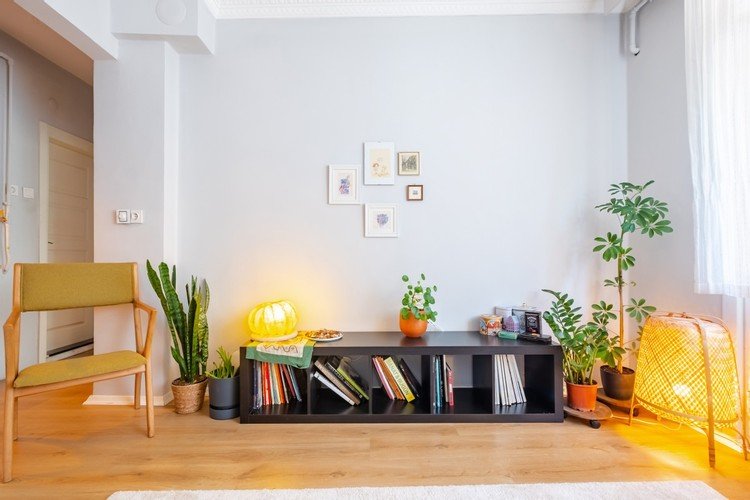 Стамбул: Terrarium | Kadikoy