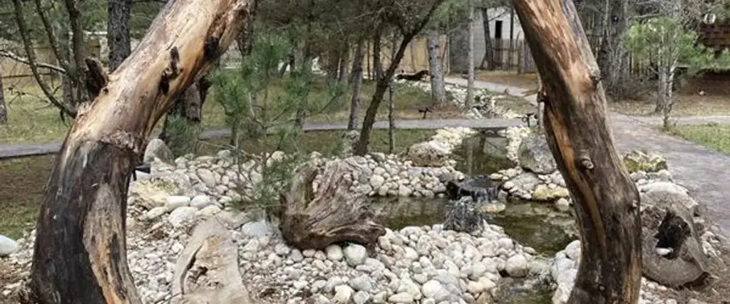Гереде: Lepista Garden