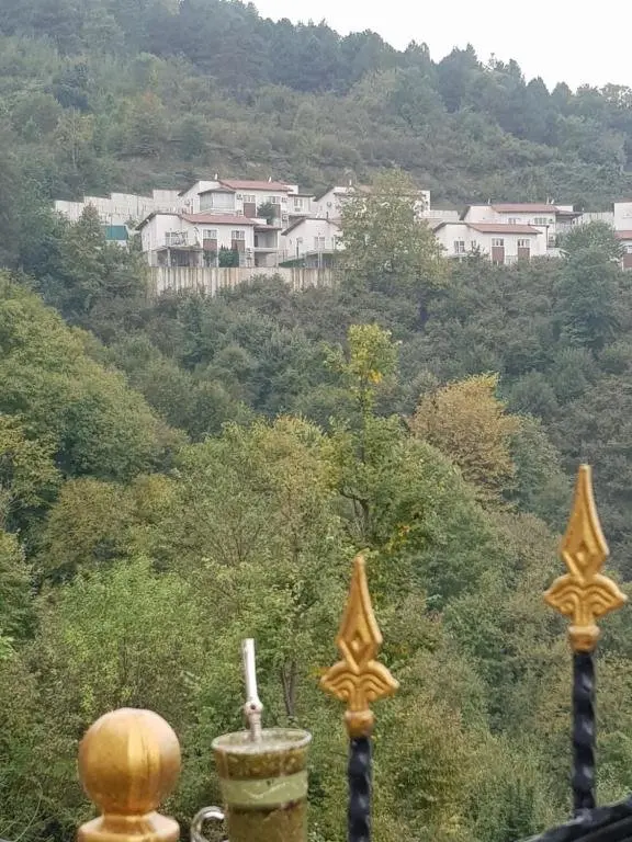 Сакарья: Taybah Villa 4 sapanca