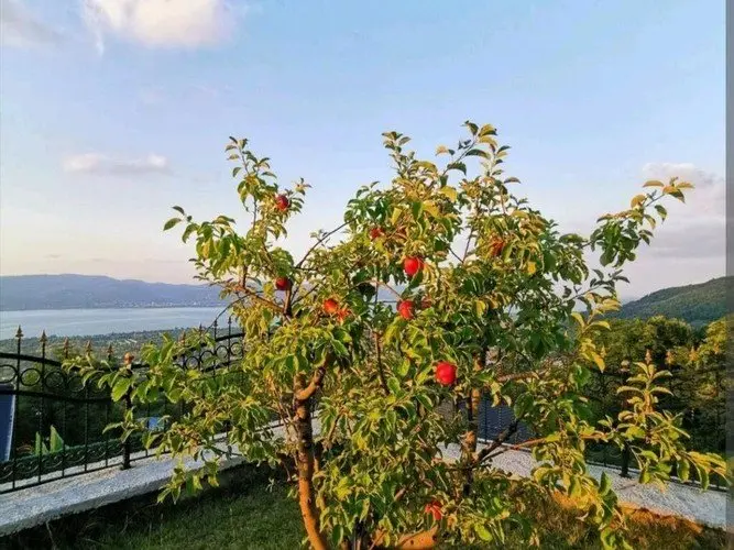Сакарья: Sfa Blue House Sapanca Villa