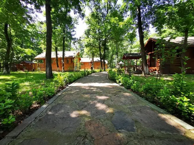 Сакарья: Sapanca Bungalov Orman Evleri