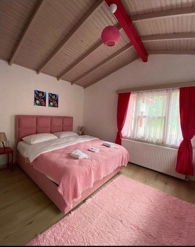 Сакарья: Sapanca Pink House