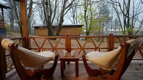 Šuma Disanje Hotel — фото 1