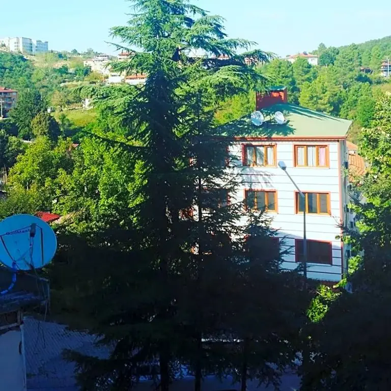 Термал: Orkide Motel