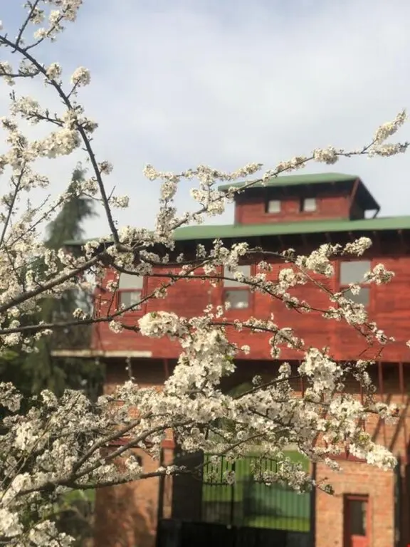 Стамбул: Hermes Country Club