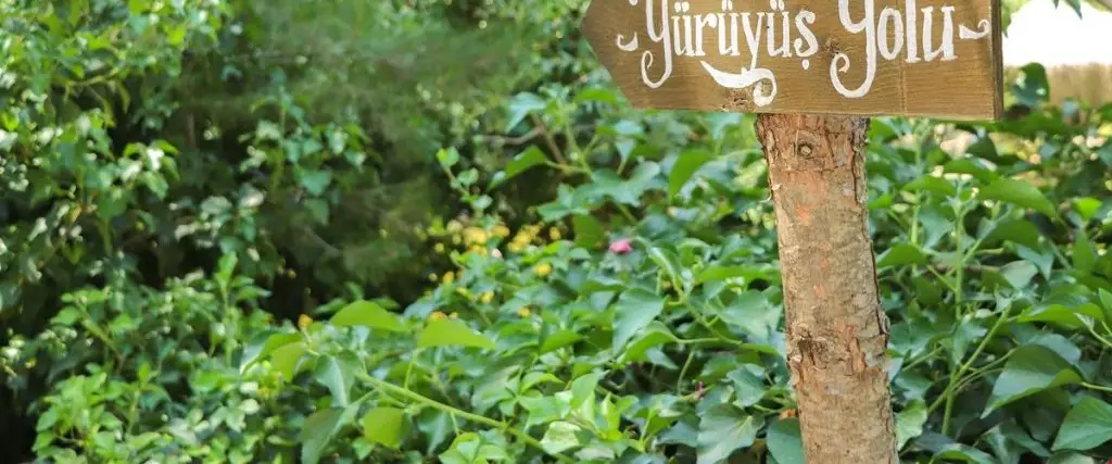 Урла: Rakula Dağ Evi