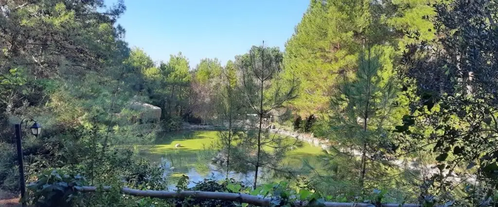 Урла: Rakula Dağ Evi