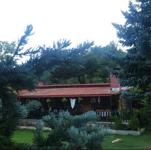 Япракли: Mavi Ladin Garden