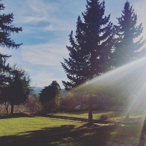 Япракли: Mavi Ladin Garden
