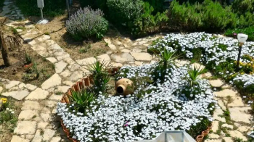 Айвалык: Cunda Alibeyhan Hotel