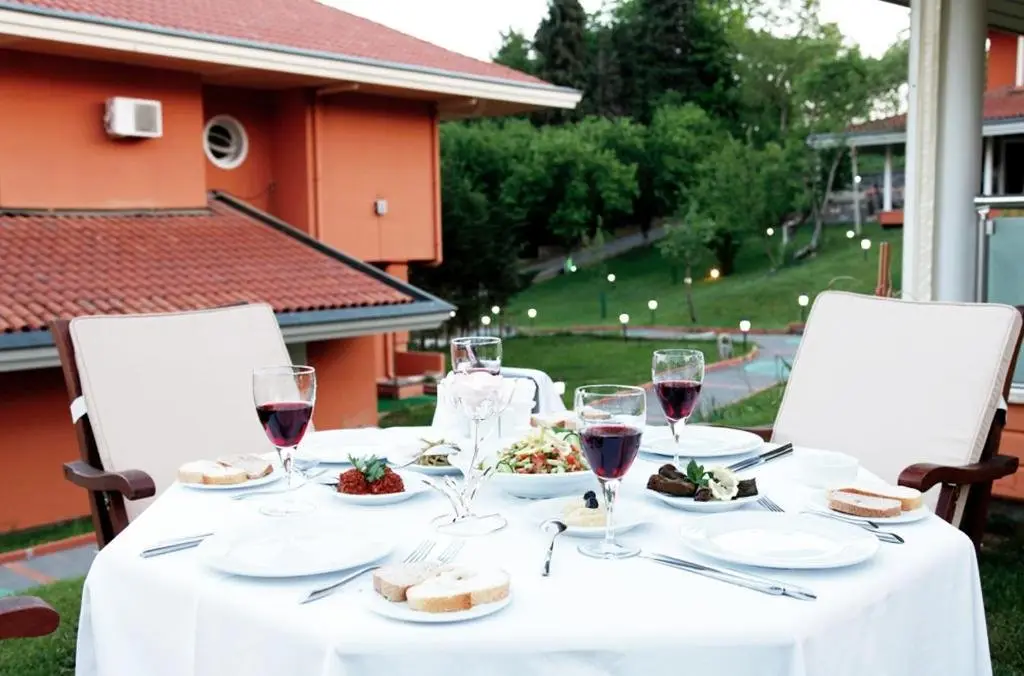 Стамбул: Synosse Park Hotel