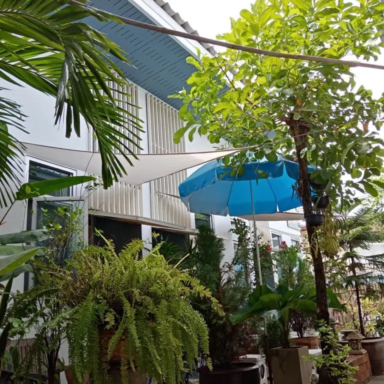 Хуахин: Daddy's home Huahin