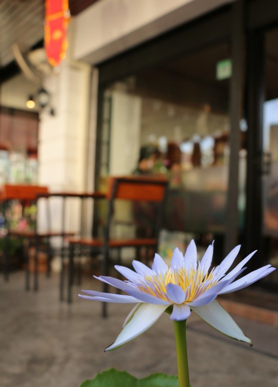 Чиангмай: Zion Hostel and Cafe