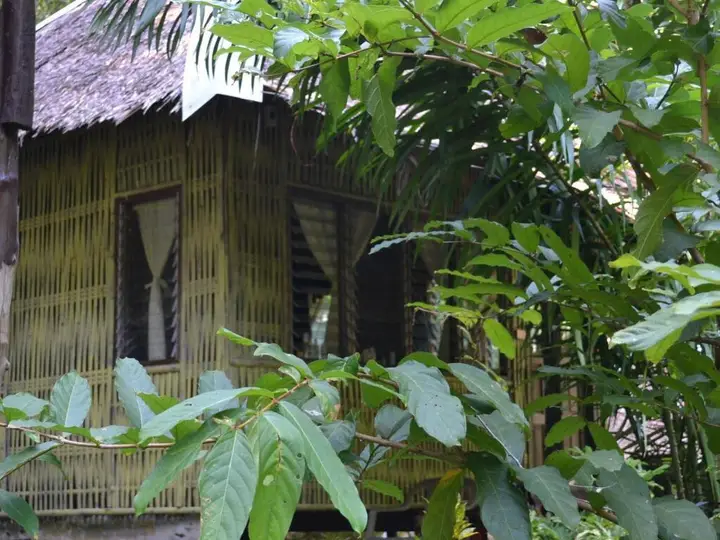 Краби: Sai-Ngam Botanic Garden Resort