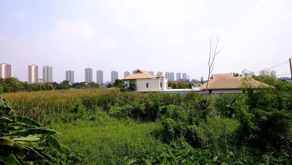 Паккрет: Baan Sabai