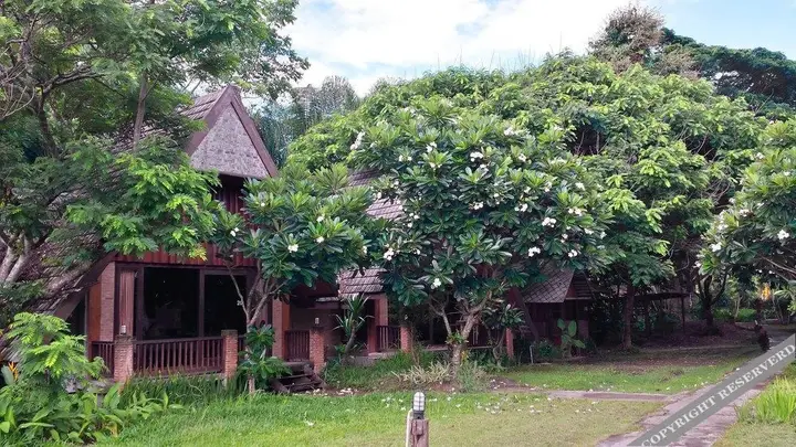 Паи: Ruan Mai Hom KINIMAN