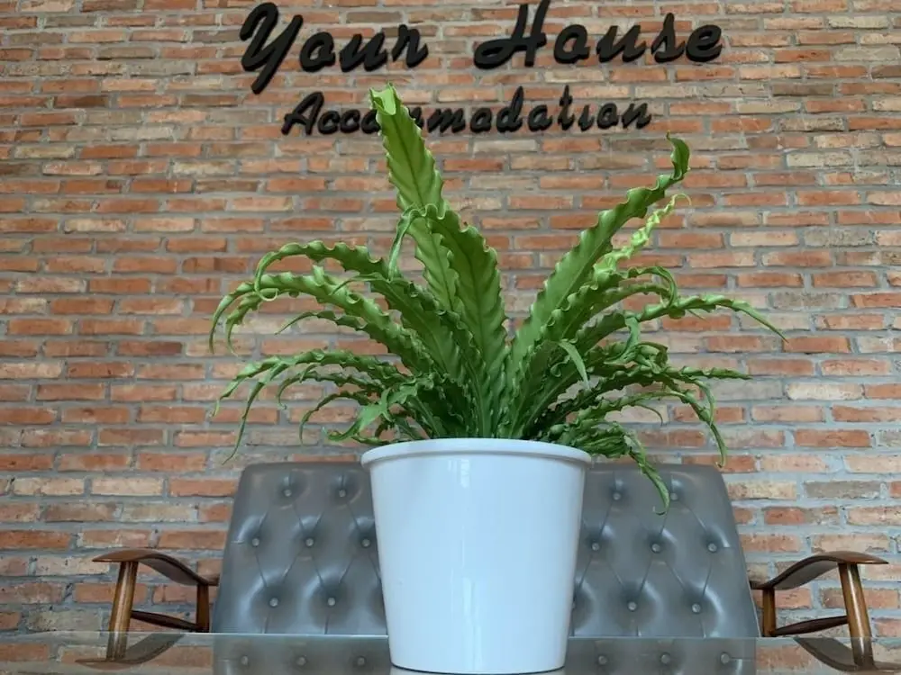 Краби: Your House Accommodation
