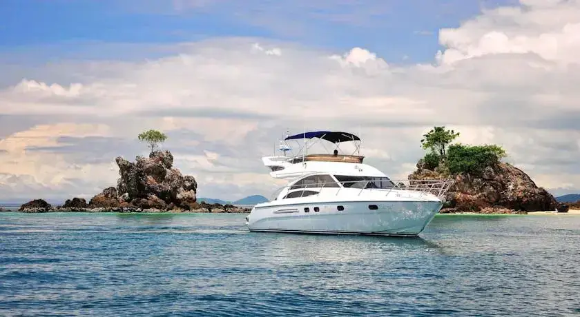 Princess Yacht PH4451 — фото 1