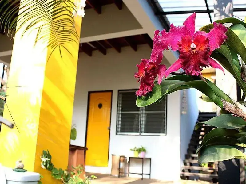 Бангкок: Garden Room Hostel