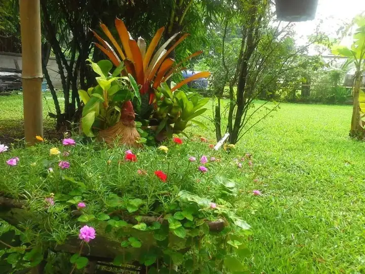Бангкок: Garden Room Hostel