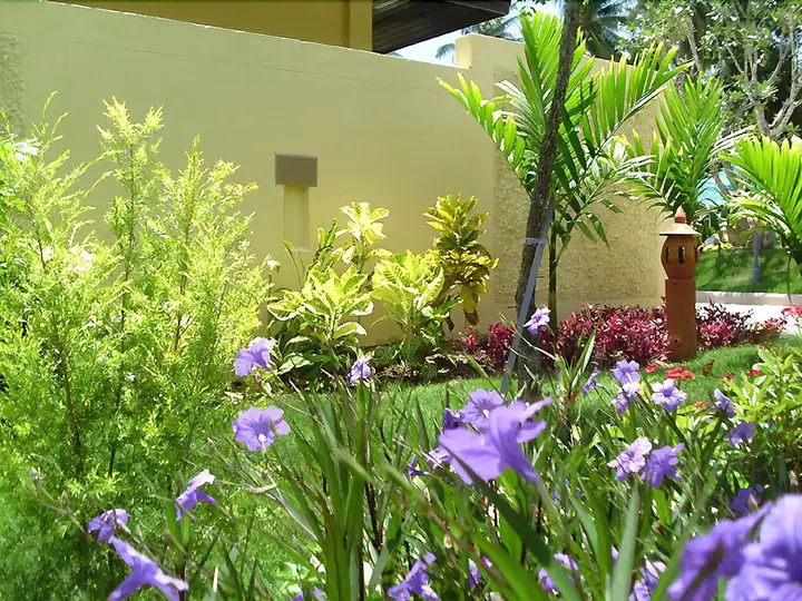 Самуи: Samui Grove Villas