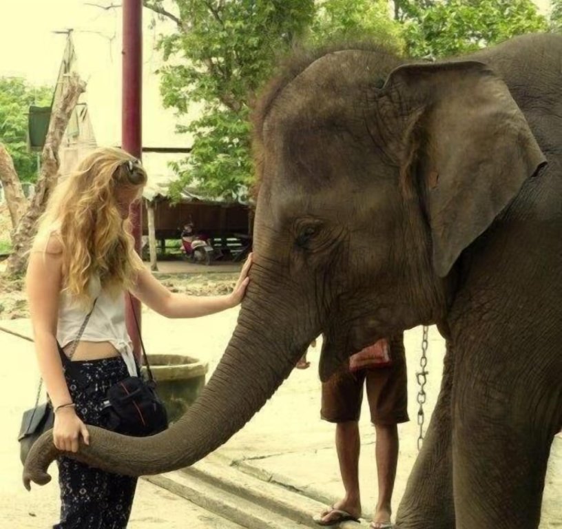 Сингбури: Homestay Singburi Thailand