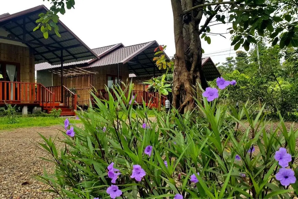 Чианг Дао: Chiang Dao Reset