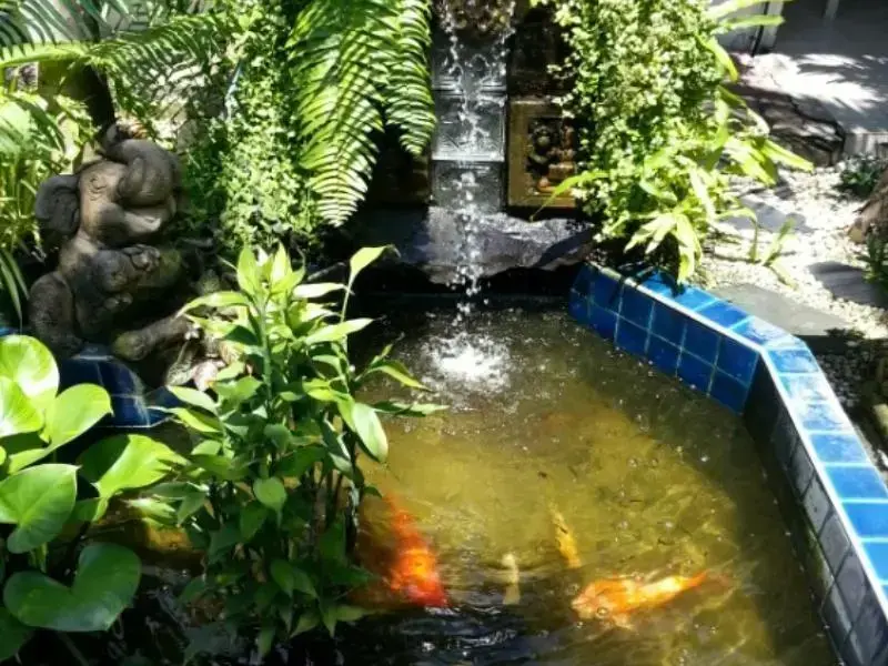 Кату: Baan Orchid Guesthouse Patong Beach