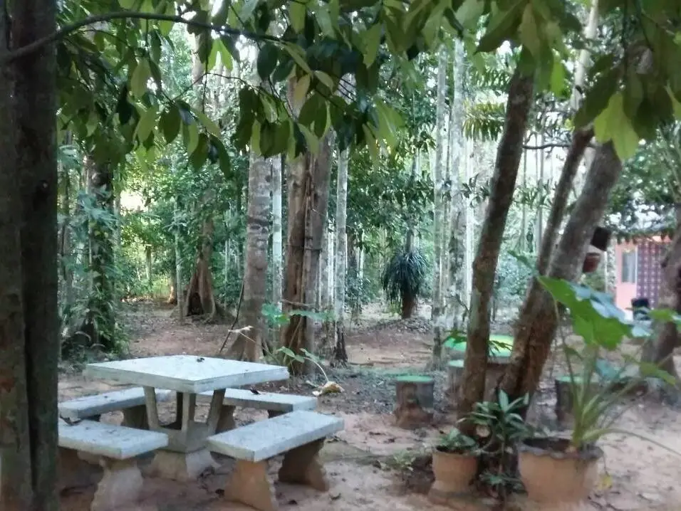 Капоэ: Sab Ananta Resort @ Ratchakrud Ranong
