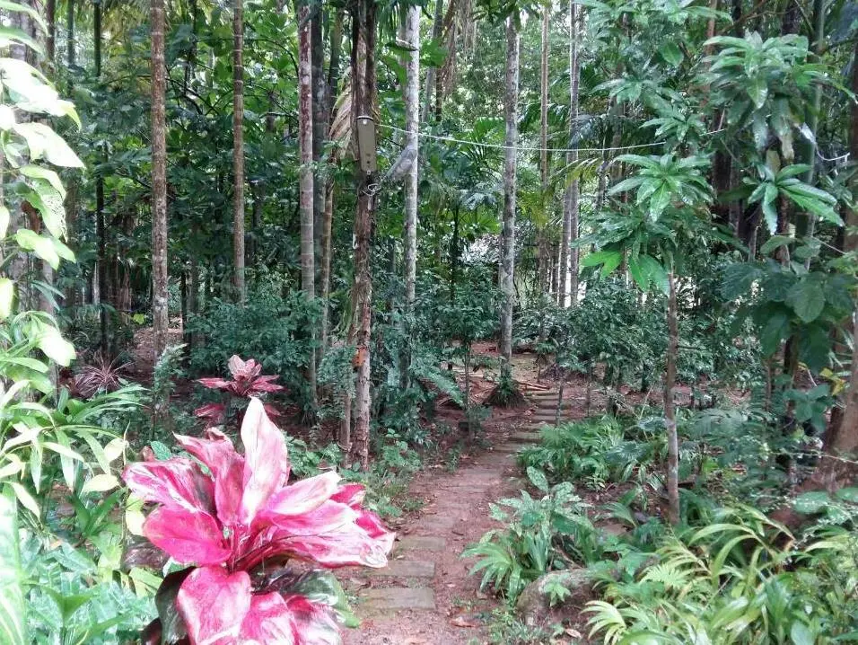 Капоэ: Sab Ananta Resort @ Ratchakrud Ranong