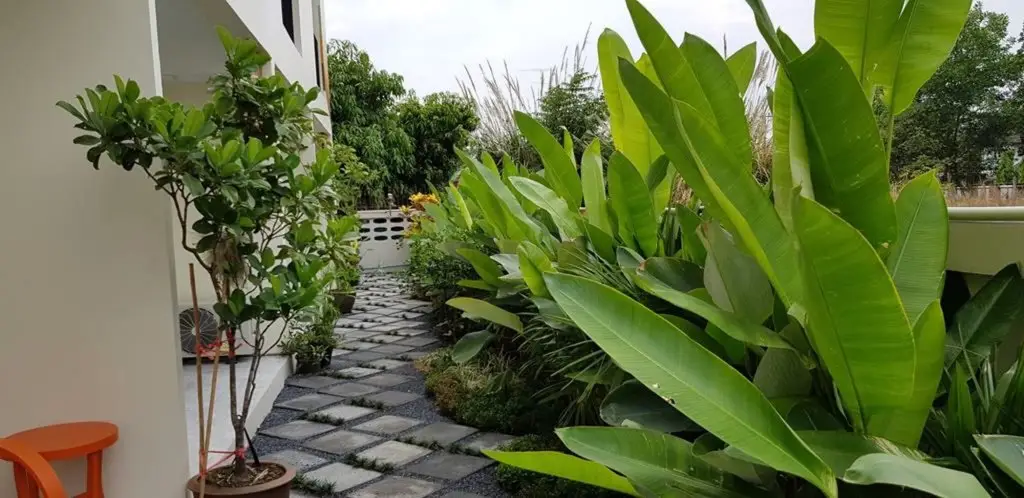 Прачинбури: iRabbit Hotel