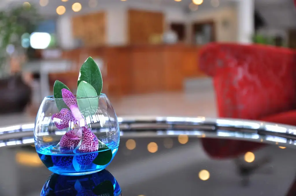 Паттайя: JP Villa Hotel
