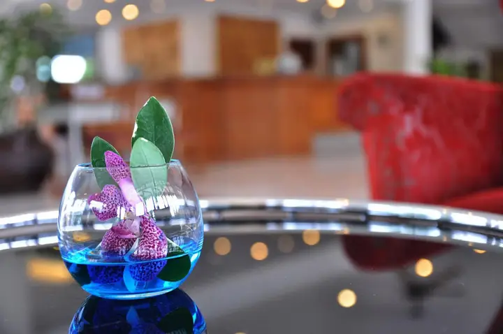 Паттайя: JP Villa Hotel