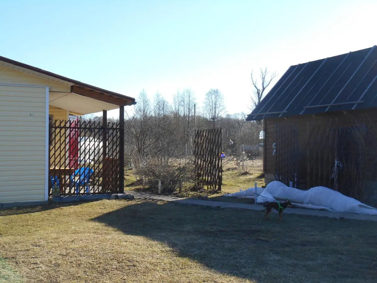 Великий Новгород: Guest House "U Anni"