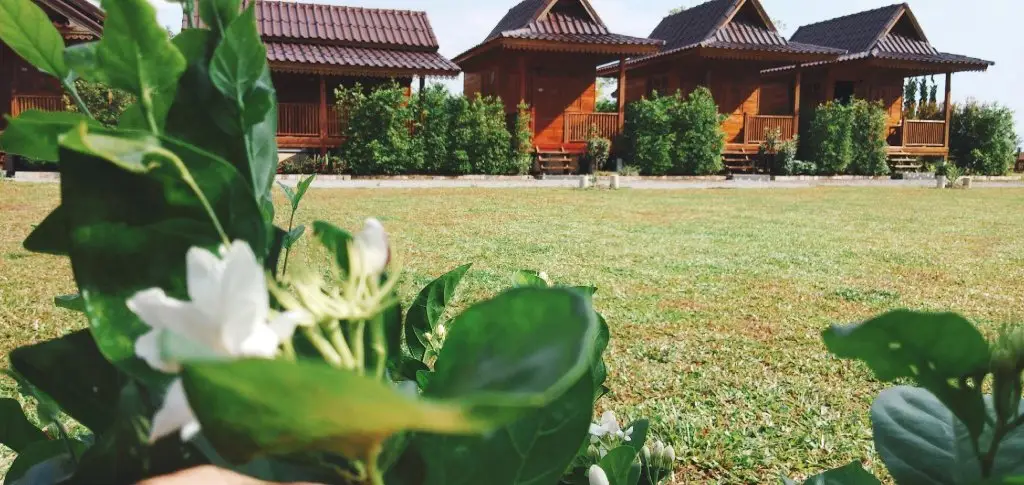 Чианграй: Imsuk Homestay Chiang Rai