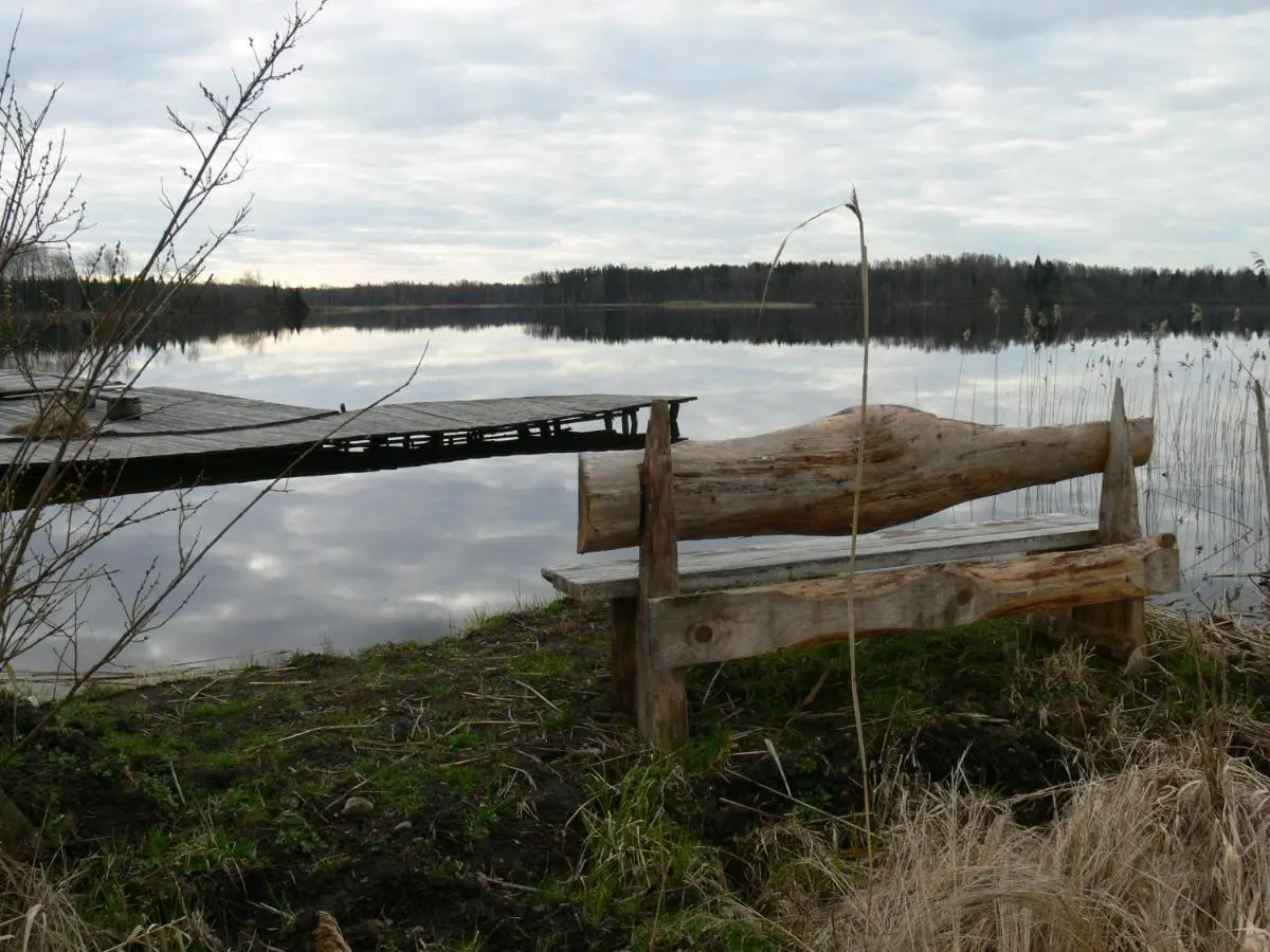 Maloye Ukleyno: International Camp club Bereg Best Beach Stylish Coastline Ukleyno Lake National Park Valdai