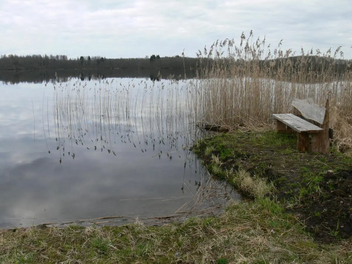 Maloye Ukleyno: International Camp club Bereg Best Beach Stylish Coastline Ukleyno Lake National Park Valdai