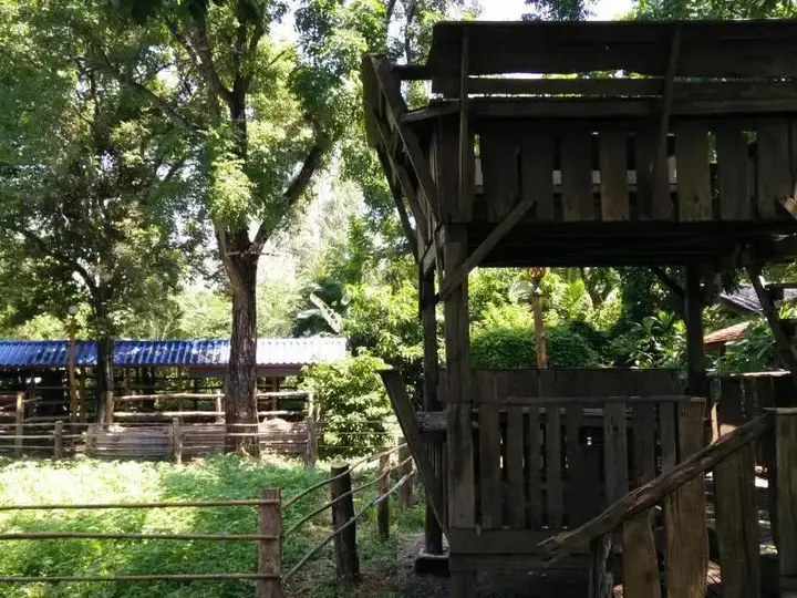 Пан Фу Кам: Pukarm Chalay Hostel
