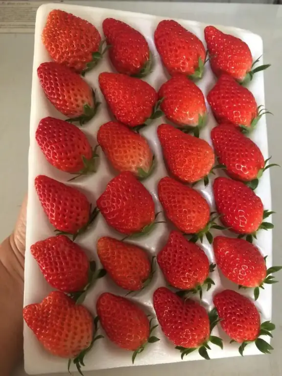 Мае-Суай: Wawee Strawberry House