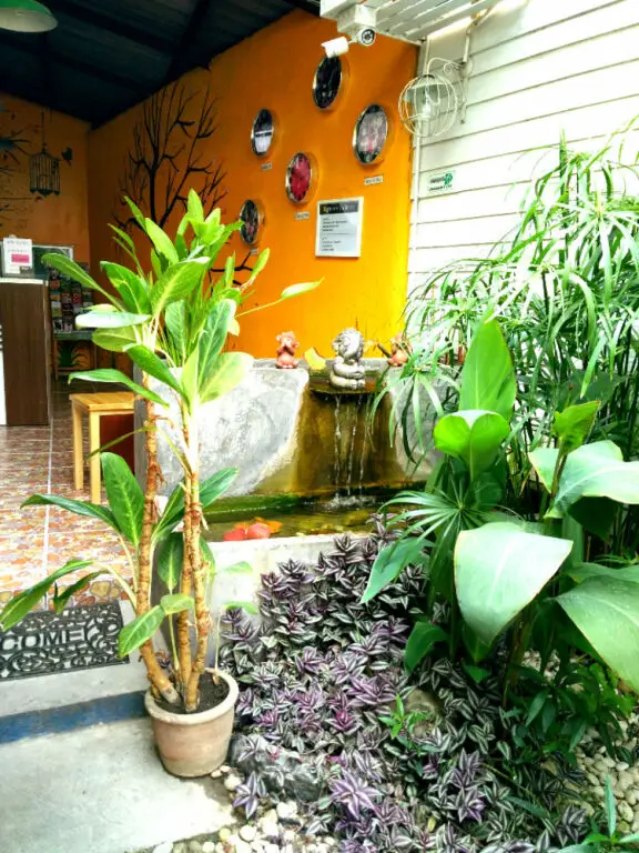 Чиангмай: Yin Yang Guesthouse