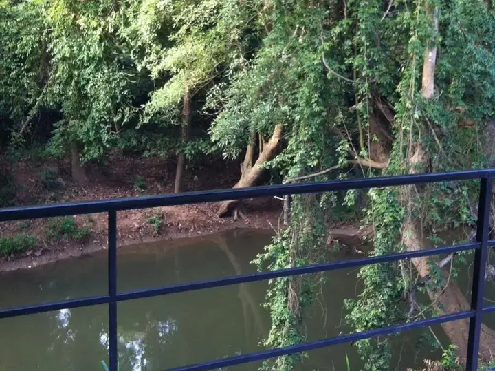 Пак-Чонг: The Creek Resort at Khaoyai