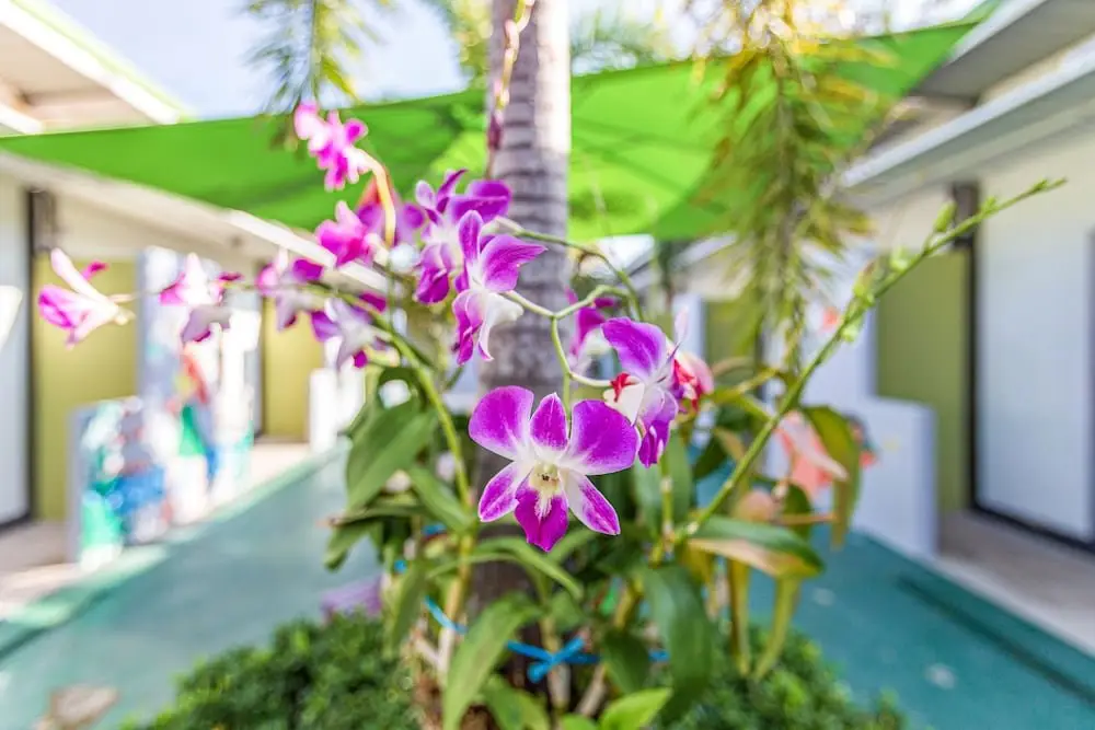 Муанг: OYO 450 Rawai Studios Resort