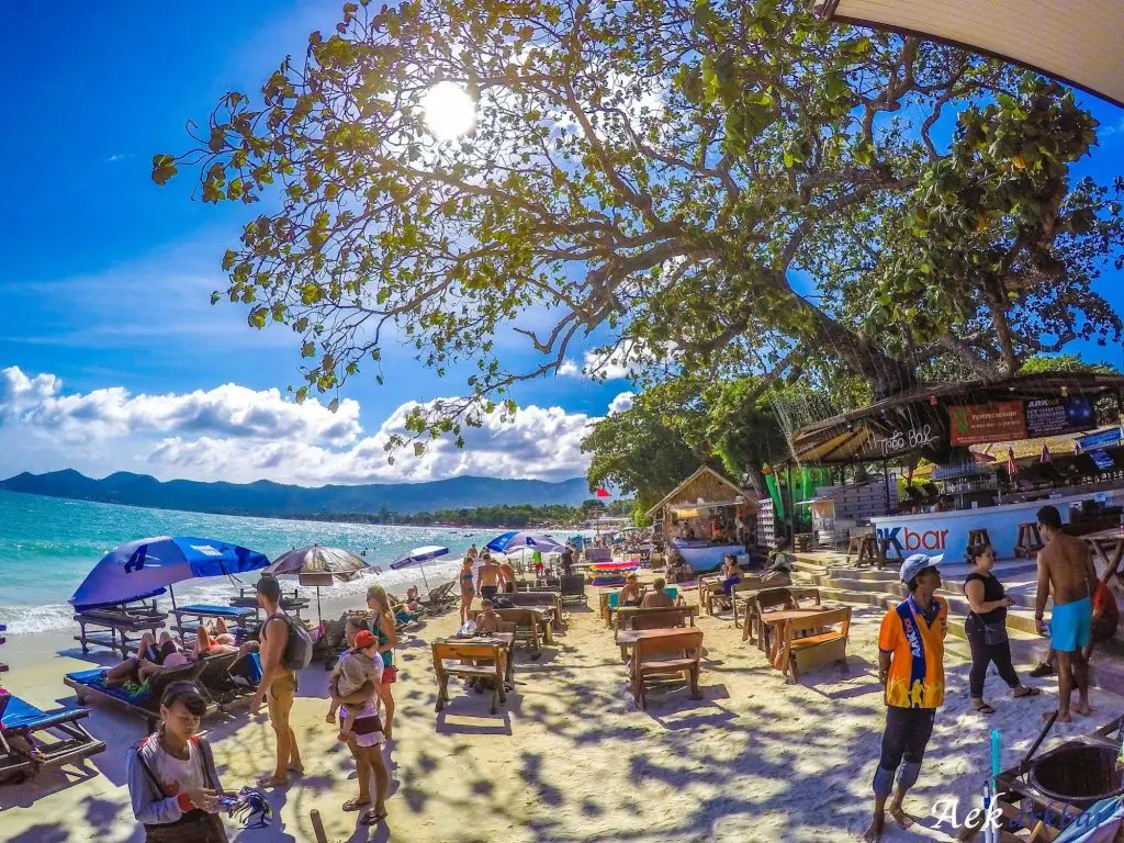 Самуи: Ark Bar Beach Resort
