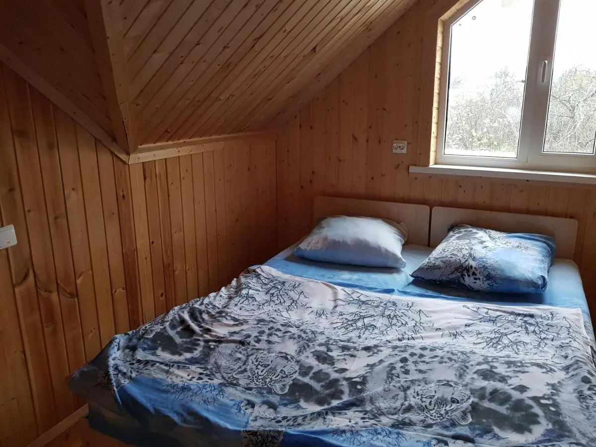 Старая Русса: Cottage in Staraya Russa