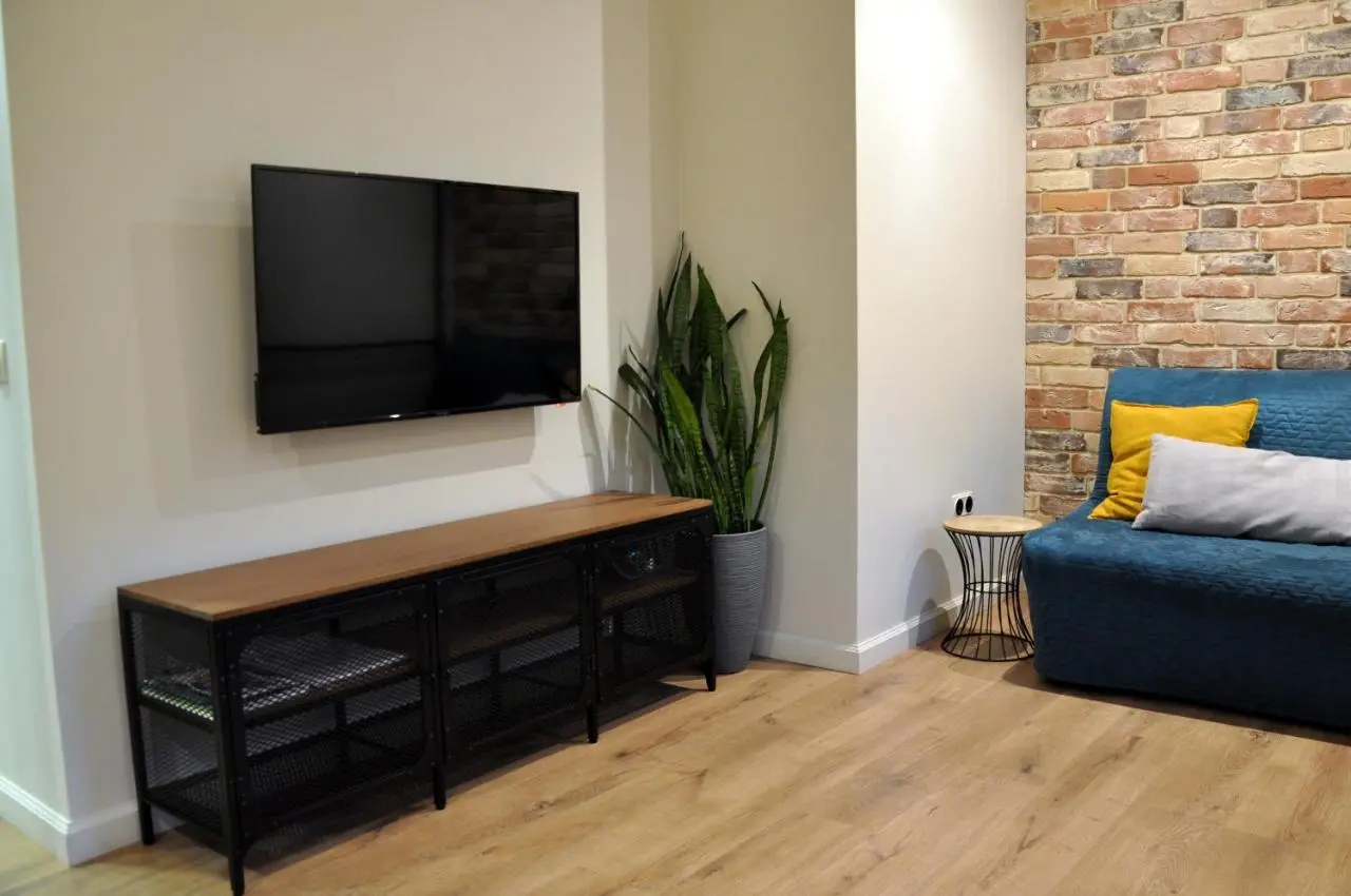 Великий Новгород: Apartment Desyatinnaya