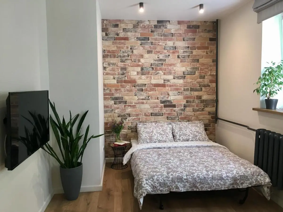 Великий Новгород: Apartment Desyatinnaya
