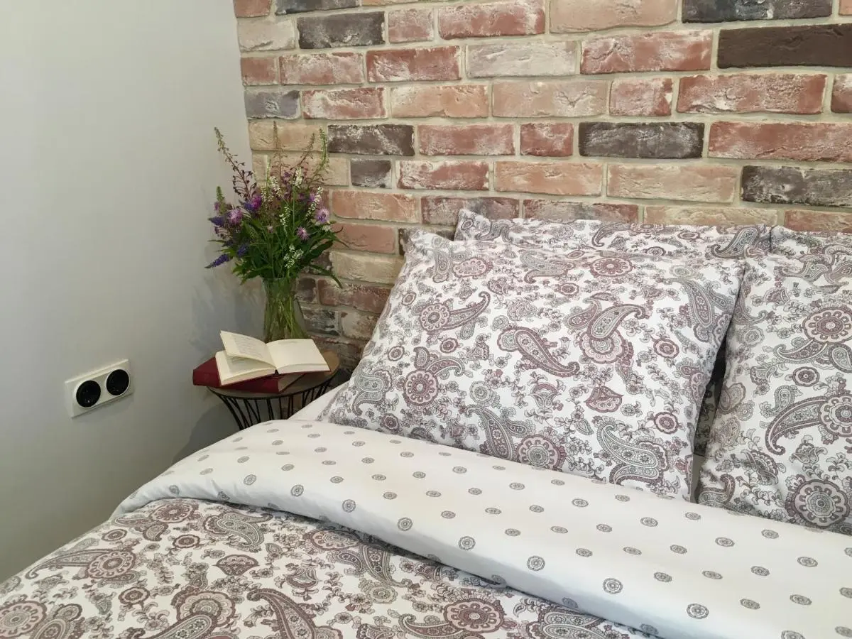 Великий Новгород: Apartment Desyatinnaya